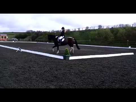 Be 90 dressage test 95 (2012)