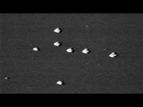 Our Lady of Zeitoun: The Most Witnessed Apparition of The Virgin Mary