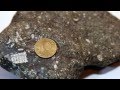 Камень с микрочипом возрастом 250 млн лет найден в Красноярском крае 