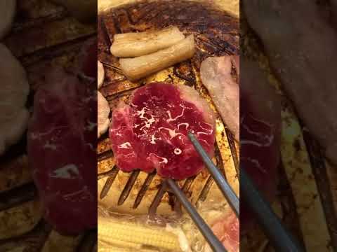 𓂀 𝔻𝕖𝕝𝕚𝕔𝕚𝕠𝕦𝕤 𝕋𝕚𝕜𝕥𝕠𝕜 𝔽𝕠𝕠𝕕 𝕣𝕖𝕔𝕚𝕡𝕖 𝕍𝕚𝕕𝕖𝕠 🤤🍲✨ 𓂀