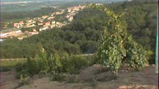 preview picture of video 'Chateau St. Cosme in Provence'