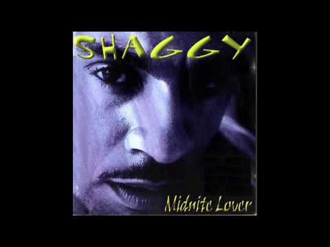 Shaggy - 02 Perfect Song