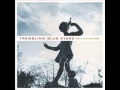 Trembling Blue Stars - Until the dream gets broken