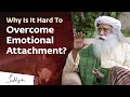 Why Is It Hard To Overcome Emotional Attachment Sadhguru