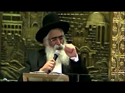 הרב יורם אברג'ל – המסר היומי – בעמל תורה משיגים הכל – ט"ו בשבט תשפ"ו