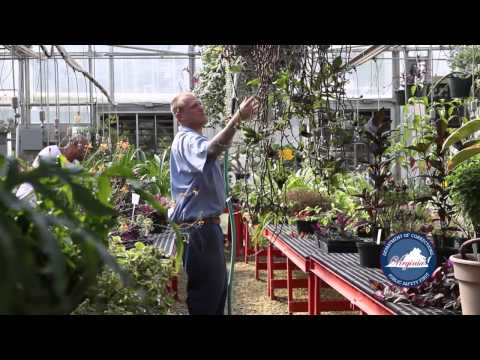 Adult Prison Re-entry Program