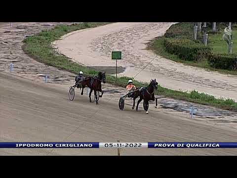 Aversa trotto 5 Novembre 2022 - Prova di qualifica