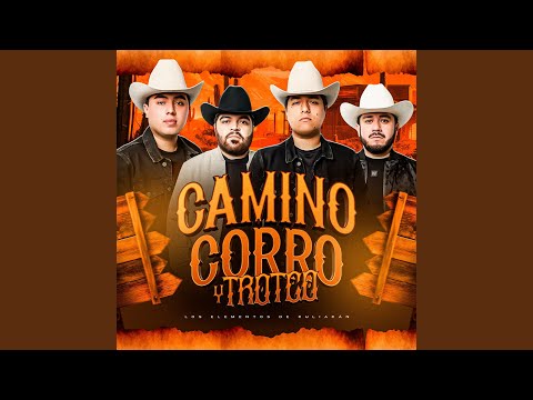 Camino Corro Y Troteo