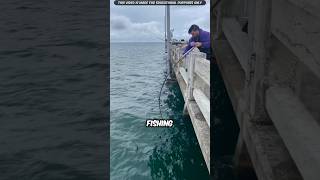 Why Fishermen Trust This Monster Net During Fish Rain