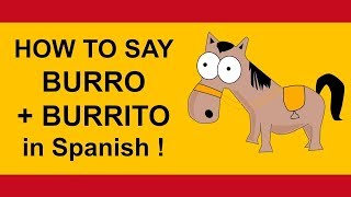 How to say BURRO and BURRITO in Spanish tutorial