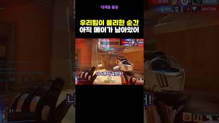 우리에겐 아직 메이가 남아있어!!!