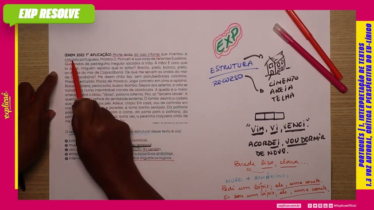 MORTE LENTA AO LUSO INFAME QUE INVENTOU A CALÇADA PORTUGUESA. (...) | INTERPRETAÇÃO DE TEXTOS
