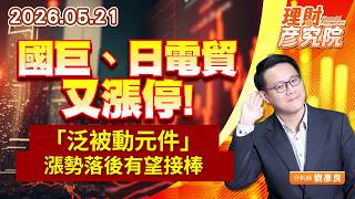 0521國巨、日電貿又漲停，「泛被動元件」漲勢落後有望接棒｜理財彥究院｜劉彥良 (圖)