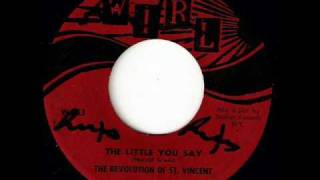 THE REVOLUTION OF ST VINCENT The Little You Say WIRL