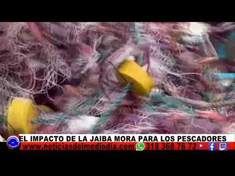 23 de Abril del 2026 Noticias Del Medio día Buenaventura.