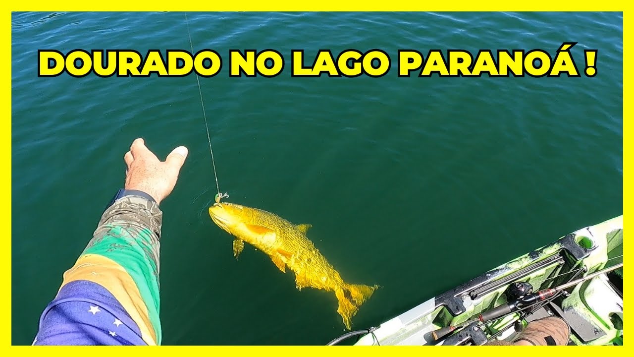 PESCARIA DE DOURADO NO LAGO PARANOÁ