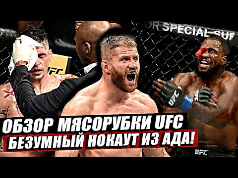 Итоги и Обзор Рубки на UFC! Адские Нокауты! Ян Блахович vs Кори Андерсон.Мишель Перрейра vs Санчес.