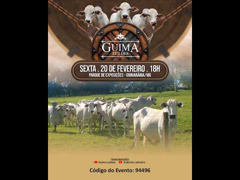 LEILÃO GUIMA LEILOES (20/02/2026 ) Leilão em Guimarânia MG