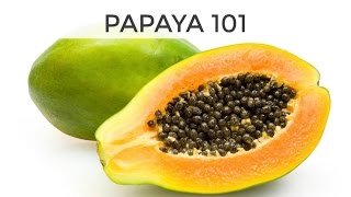 Download lagu Papaya 101 | Everything You Need To Know mp3