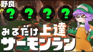 【野良】見るだけ上達サモラン！アラマキオルランで新年初カンストする🐋カンスト295回【スプラトゥーン3/サーモンランNW】