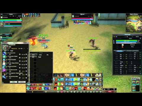 Rappelz Magus/Archidruide test dps.. (1)