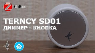 TERNCY SD01 - логический zigbee диммер-кнопка, интеграция в Home Assistant, практическое применение