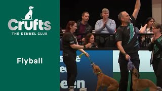 Flyball Competition - Last 16 | Crufts 2023