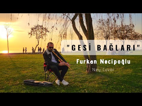Furkan Necipoğlu - Gesi Bağlarında Dolanıyorum #neycover