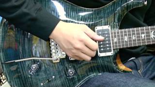 Download lagu Guitar shop hoochies [PRS CUSTOM 24/TEAL BLACK] mp3