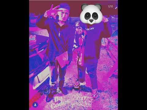 La plagiza - Los nuevos originales del Bajío