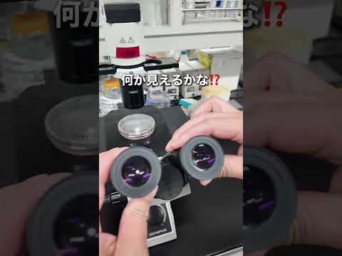 バイオデータサイエンス学科 細胞の生と死に迫る⁉️