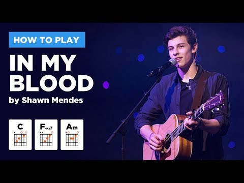 🎸 In My Blood • EASY Shawn Mendes guitar lesson (w/ chords & intro tab)