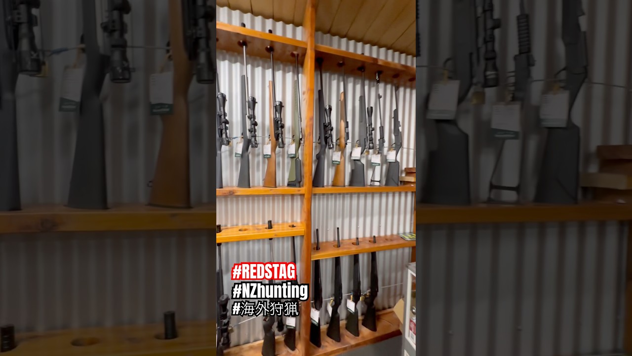 銃の値段、日本の約1/3 😅 #狩猟  #ハンティング #REDSTAG #NewZealand #Hunting&Fishing