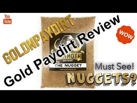GoldNPaydirt Mammoth The Nugget Paydirt Review, HOW MUCH GOLD?