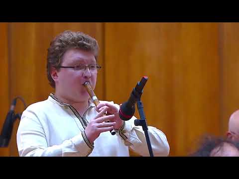 Brdarić Nebojša - Брдарић Небојша  : "Homoljski vez" - "Хомољски вез"