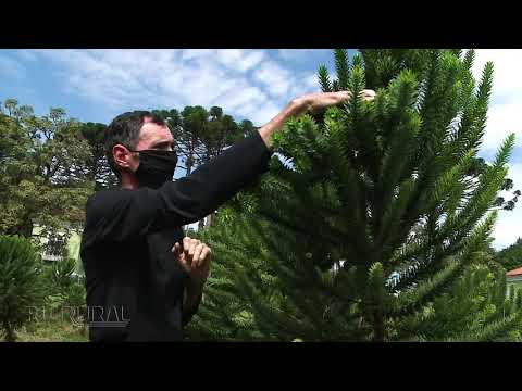 https://www.youtube.com/watch?v=JJjdsFs0AJQ