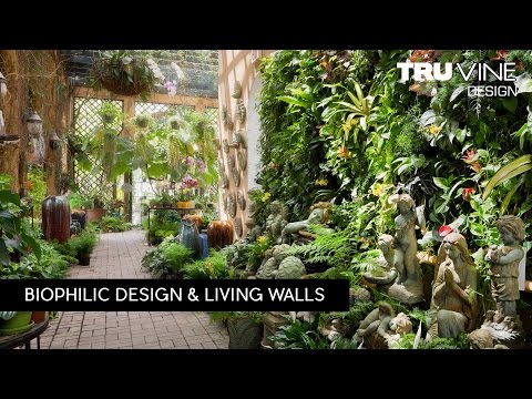 , title : 'Florida Landscape Design #84 | Living Walls by TruVine Design | Delray Beach, Florida'