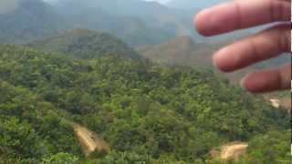 preview picture of video 'Forestry in Viet Nam, Cán bộ lâm nghiệp Móng cái, Lương Quang Huy'