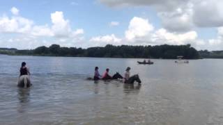 Swimming at Codorus st park!