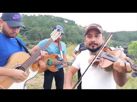 Los Hermanos Barrera el muchacho alegre