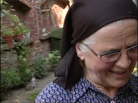 Copia fișierului geamgiii din margau