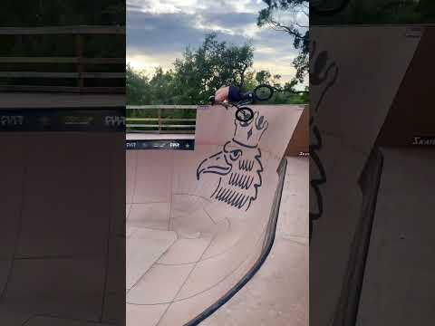 IMAGINE HAVING THIS RAMP IN YOUR BACKYARD (CHASE HAWK)