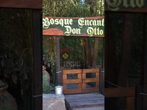 Bosque Encantado de Don Otto en Villa General Belgrano #sierrasdecordoba #calamuchita #turismo