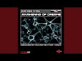 Awakening Of Dreams MIG L Remix