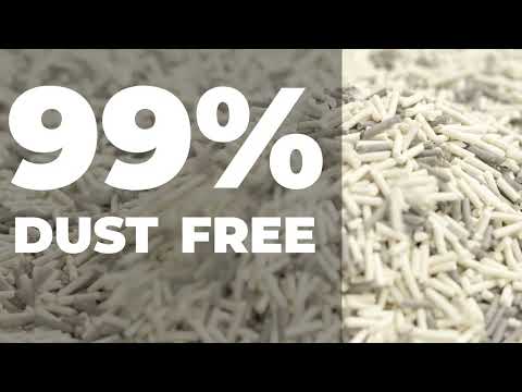 Tofu Cat Litter? How good is it? 😮｜Lady N：Enviro-Probiotics Deodorant Strip Tofu Cat Litter