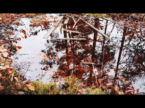 KOJAN @ HULTALEDEN -  201223 - Ronneby - Huawei p30 PRO - BLEKINGE