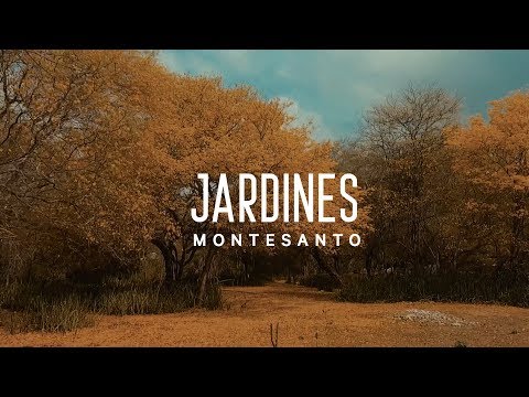 Jardines (VideoLyric) - Montesanto