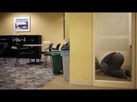 Nëse jemi në ambient pune ku nuk mund ta falim namazin, a mund ti bashkojmë apo ta falim në banjo?