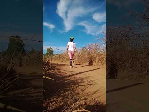 Caminhada sertaneja Comunidade Santa Rita município Vianópolis Goiás Brasil