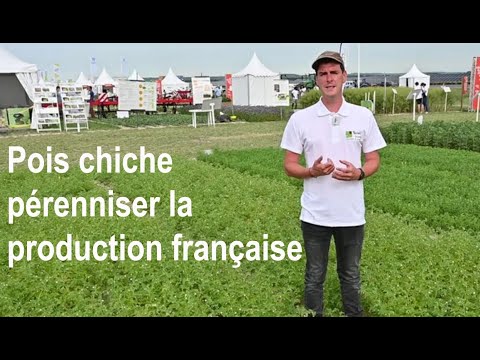 , title : 'Pois chiche, pérenniser la production française'